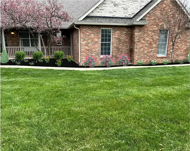 Landscaping Design Landscaping Design
