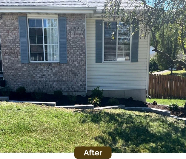 mature landscape after General Removal