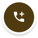 Phone Icon