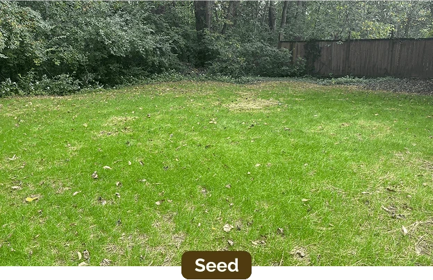 General Removal